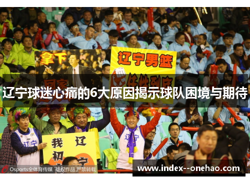 辽宁球迷心痛的6大原因揭示球队困境与期待